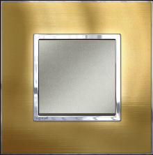 Brushed Metal (Gold Brass)