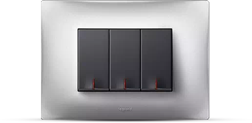 Lyncus
